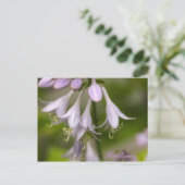 Bellbloemen Briefkaart (Staand voorkant)