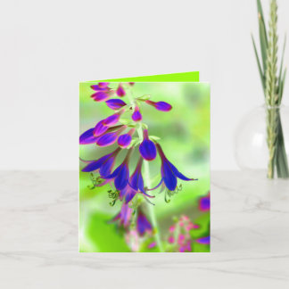 Bellbloemen Kaart