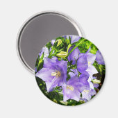 Bellbloemen Magneet (Voorkant / Achterkant)