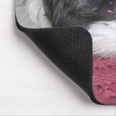 Belle de Shih Tzu Muismat (Hoek)