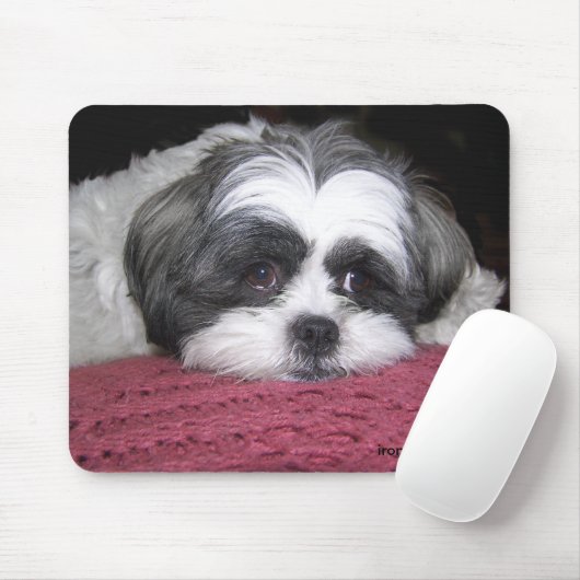 Belle de Shih Tzu Muismat (Met muis)