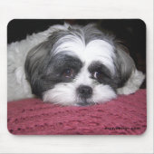 Belle de Shih Tzu Muismat (Voorkant)
