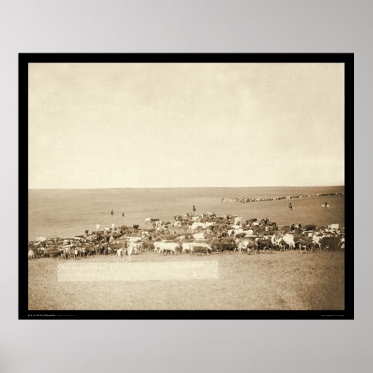 Belle Fouche Cowboy Round-Up SD 1887 Poster (Voorkant)