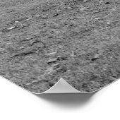 Belle Grove Plantation Louisiana Poster (Hoek)