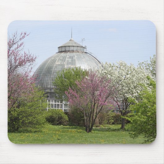 Belle Isle, Detroit, Michigan - mousepad Muismat (Voorkant)