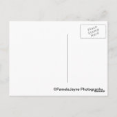 Belle Maison Briefkaart (Achterkant)