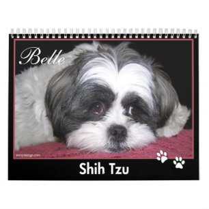 Belle The Shih Tzu Calendar Kalender