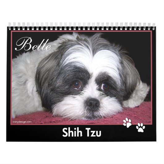 Belle The Shih Tzu Calendar Kalender (Hoes)
