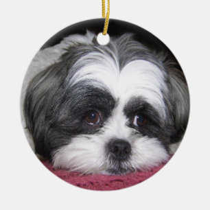Belle the Shih Tzu Dog Keramisch Ornament