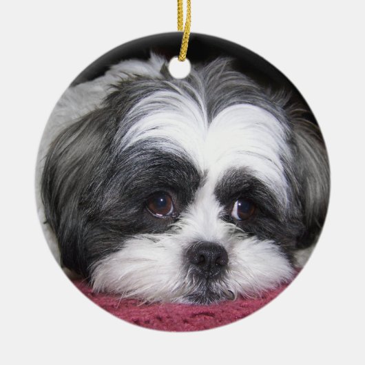 Belle the Shih Tzu Dog Keramisch Ornament (Voorkant)