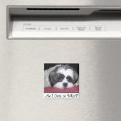 Belle the Shih Tzu Dog Magneet (Insitu (Vaatwasser))