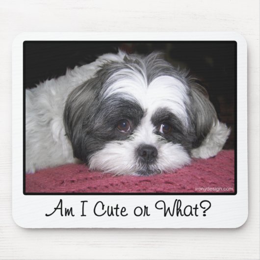 Belle the Shih Tzu Dog Muismat (Voorkant)