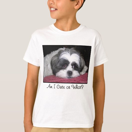 Belle the Shih Tzu Dog T-shirt (Voorkant)