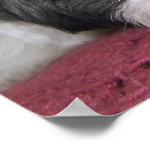 Belle the Shih Tzu Poster (Hoek)