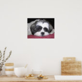 Belle the Shih Tzu Poster (Keuken)