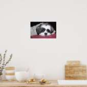 Belle the Shih Tzu Poster (Keuken)