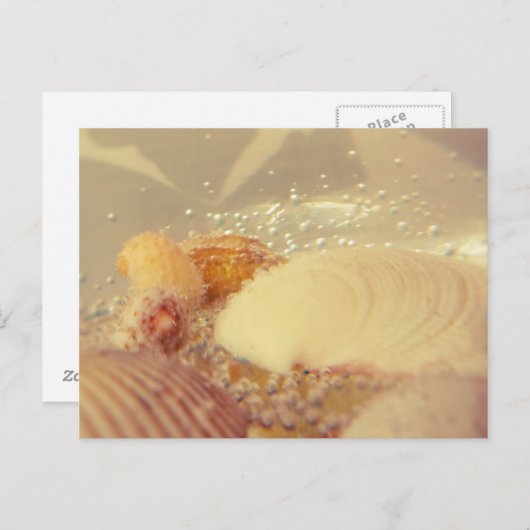 bellen briefkaart (Voorkant / Achterkant)