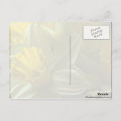Bellen op blades met blades briefkaart (Achterkant)