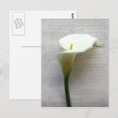 belletje op oud handschrift briefkaart (Voorkant / Achterkant)