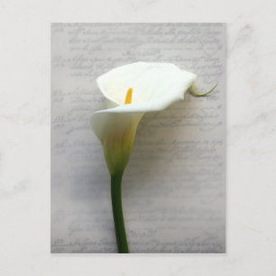 belletje op oud handschrift briefkaart