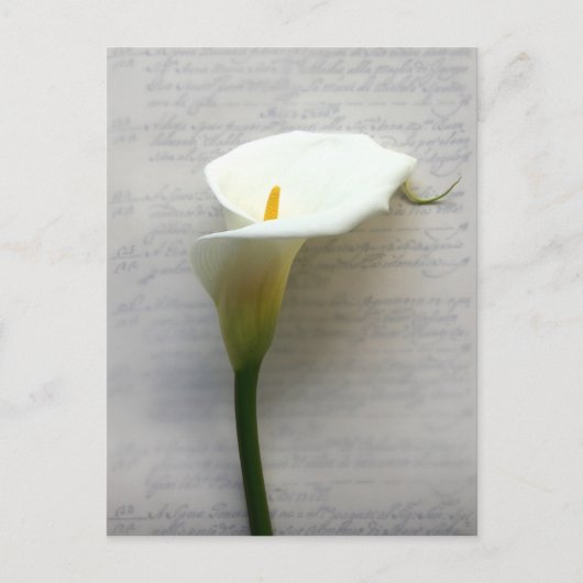 belletje op oud handschrift briefkaart (Voorkant)