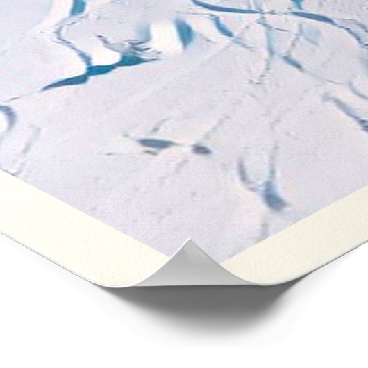 Bellevaux Hirmentaz Poster (Hoek)