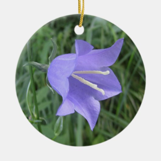 Bellflower Keramisch Ornament (Voorkant)