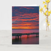 Bellingham Bay Kaart (Gele Bloem)