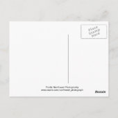 Bellingham Southside Briefkaart (Achterkant)