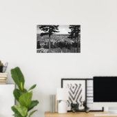 Bellingham, WA Town Uitzicht uit Sehome Hill Poster (Thuiskantoor)