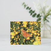 Bellingrath Butterfly Briefkaart (Staand voorkant)