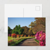 Bellingrath Gardens, Alabama Briefkaart (Voorkant / Achterkant)