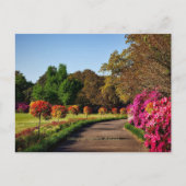 Bellingrath Gardens, Alabama Briefkaart (Voorkant)