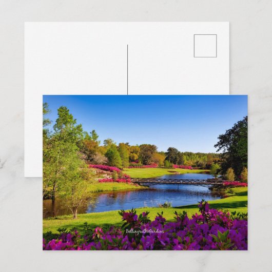 Bellingrath Gardens, Alabama Briefkaart (Voorkant / Achterkant)