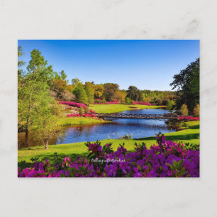 Bellingrath Gardens, Alabama Briefkaart