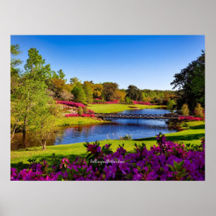 Bellingrath Gardens, Alabama Poster