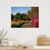 Bellingrath Gardens, Alabama Poster (Keuken)