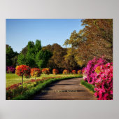 Bellingrath Gardens, Alabama Poster (Voorkant)
