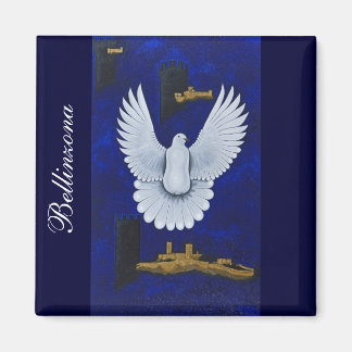 Bellinzona Magneet