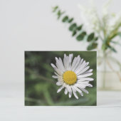 Bellis perennis briefkaart (Staand voorkant)
