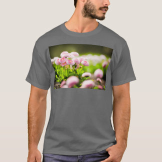 Bellis perennis pomponette 1 t-shirt
