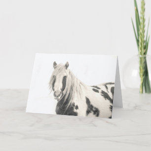 "Bellissimo"-briefkaart Kaart
