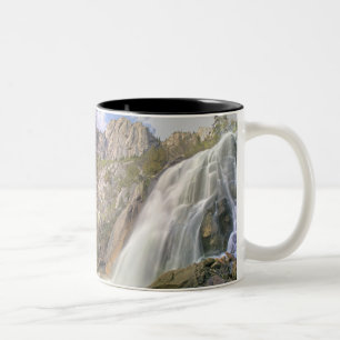 Bells Canyon-waterval, Lone Peak Wilderness, Tweekleurige Koffiemok