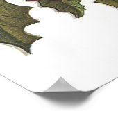 Bells Holly Red White Blue Ribbon Patriottic Poster (Hoek)