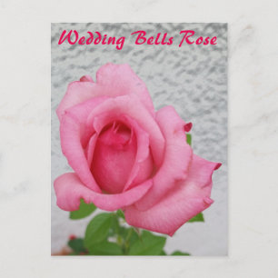 Bells Roos flower - slak-briefkaart Briefkaart