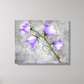 Bells van Ierland Canvas Afdruk (Voorkant)