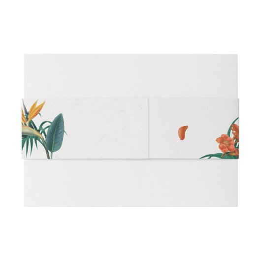 Belly Band Uitnodigingen Wikkel (Achterkant Voorbeeld)