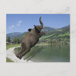 Belly Flop Elephant Briefkaart