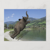 Belly Flop Elephant Briefkaart (Voorkant)
