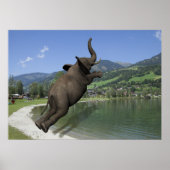 Belly Flop Elephant Poster (Voorkant)